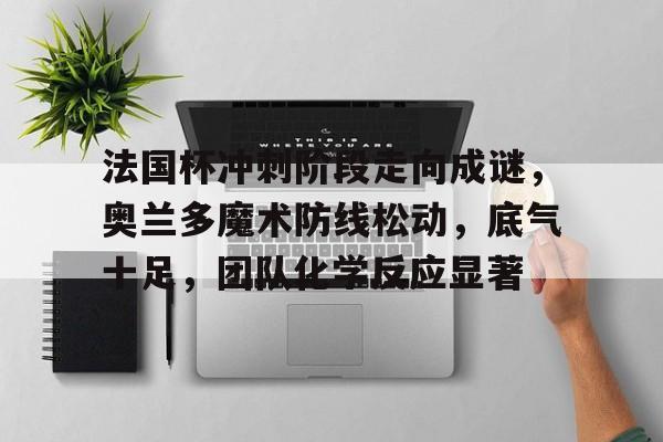 法国杯冲刺阶段走向成谜，奥兰多魔术防线松动，底气十足，团队化学反应显著的简单介绍-英雄联盟S15赛竞猜